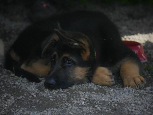 img_0753.jpg